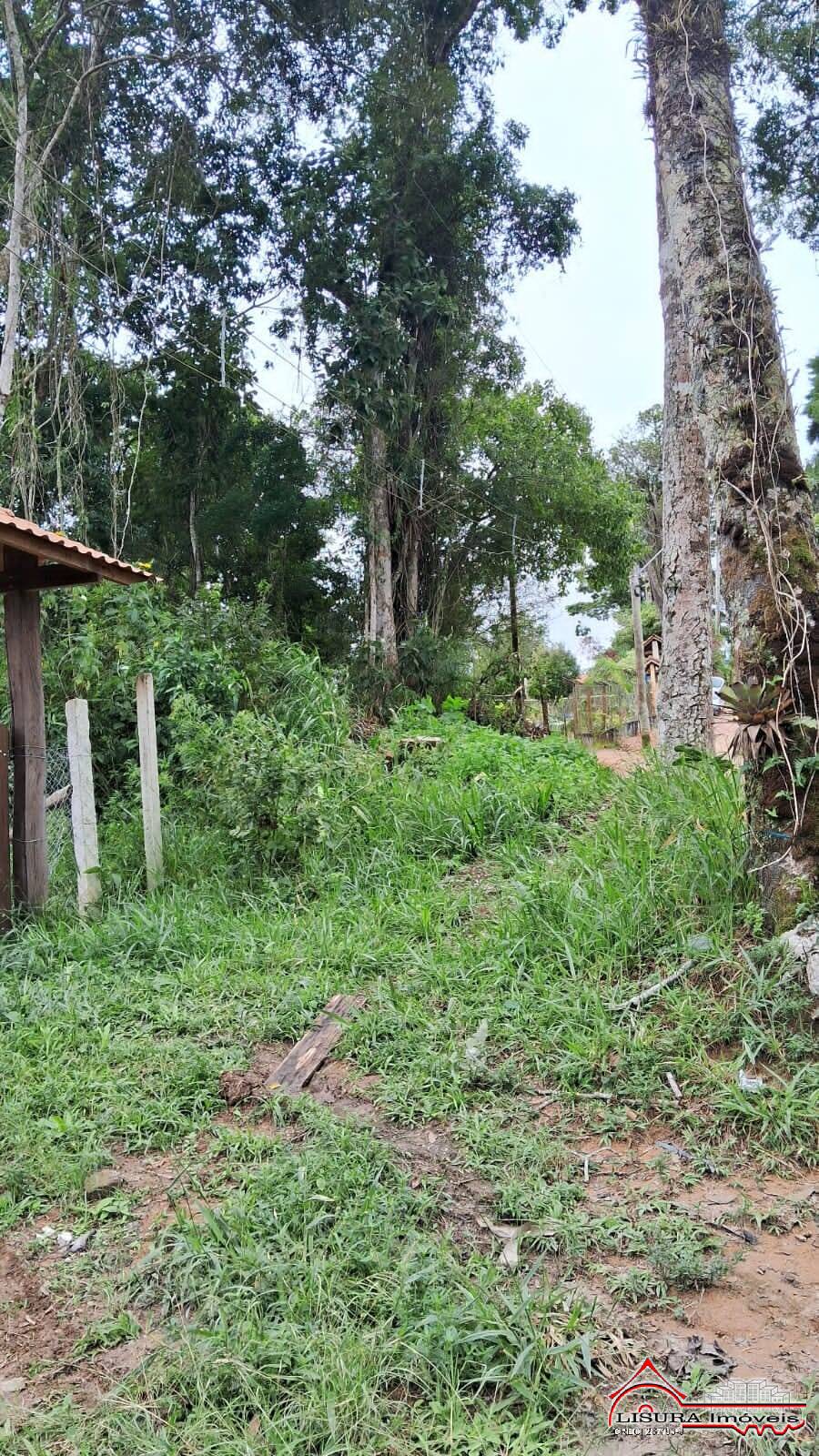 Terreno à venda, 2539m² - Foto 2