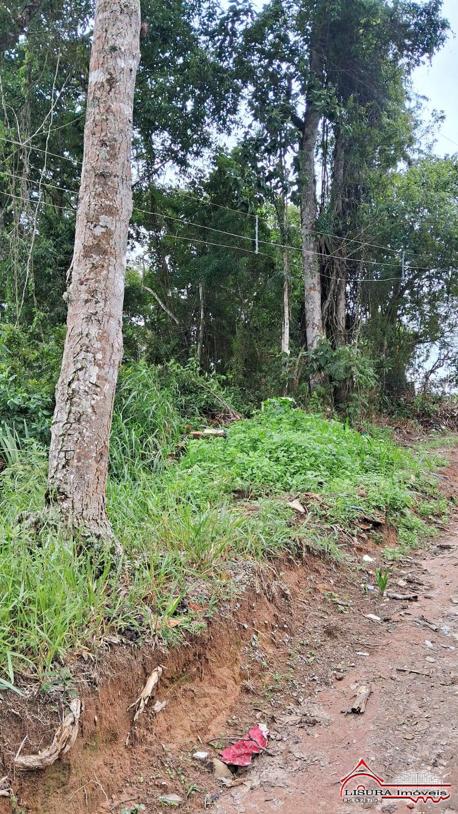 Terreno à venda, 2539m² - Foto 3