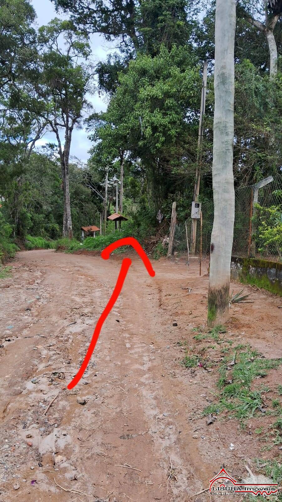 Terreno à venda, 2539m² - Foto 5