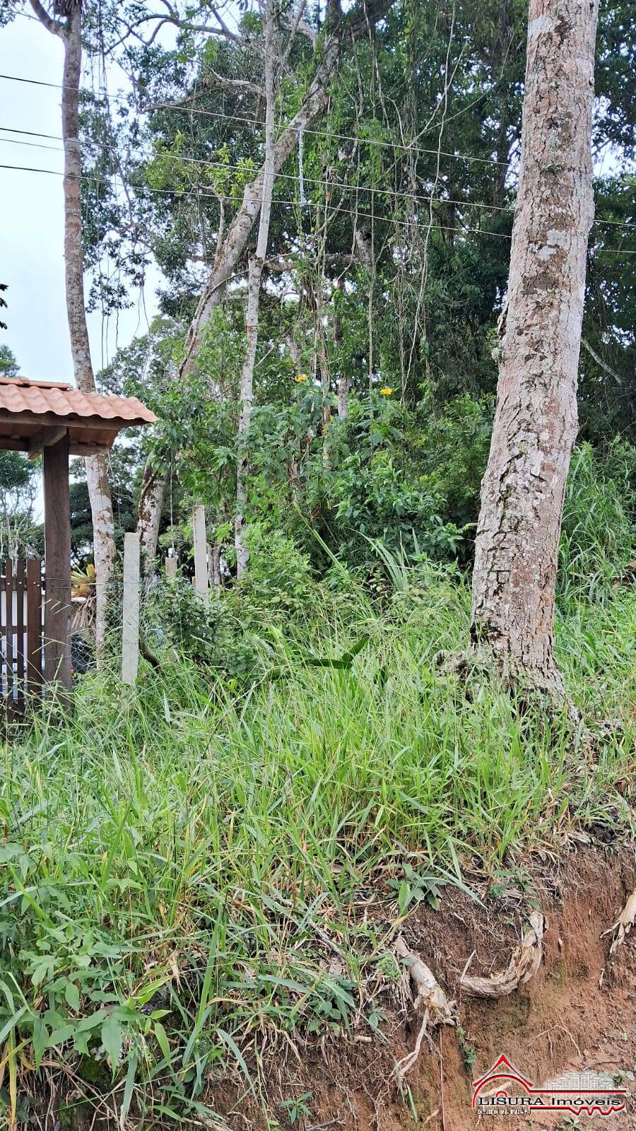 Terreno à venda, 2539m² - Foto 1