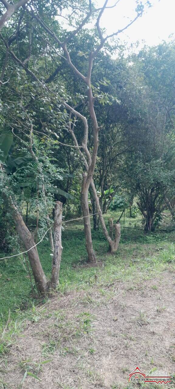Chácara à venda com 2 quartos, 26300m² - Foto 21