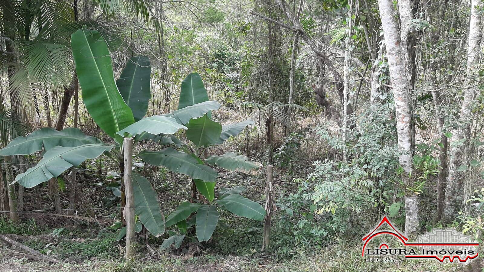 Terreno à venda com 1 quarto, 600m² - Foto 6