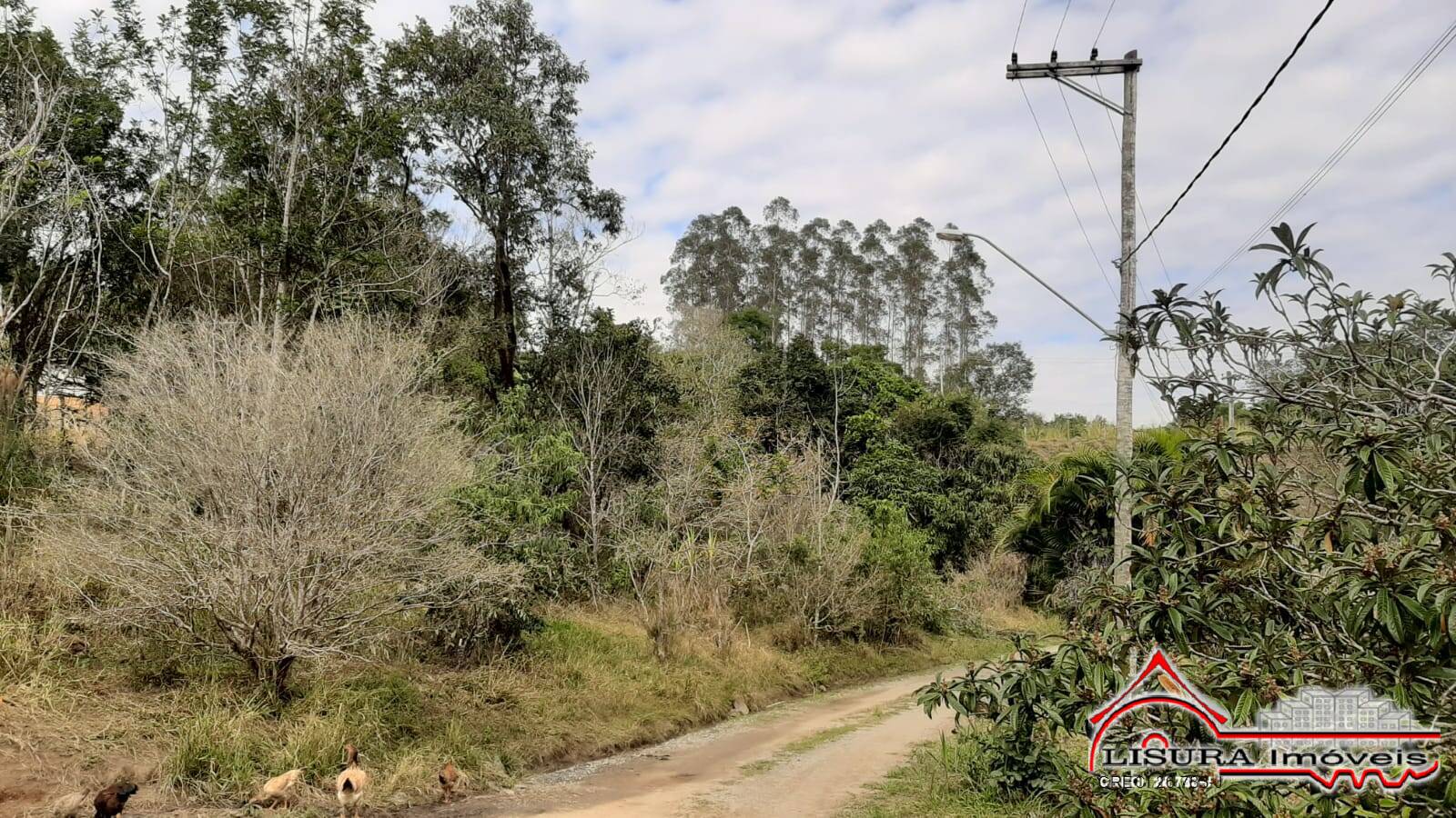Terreno à venda com 1 quarto, 600m² - Foto 7