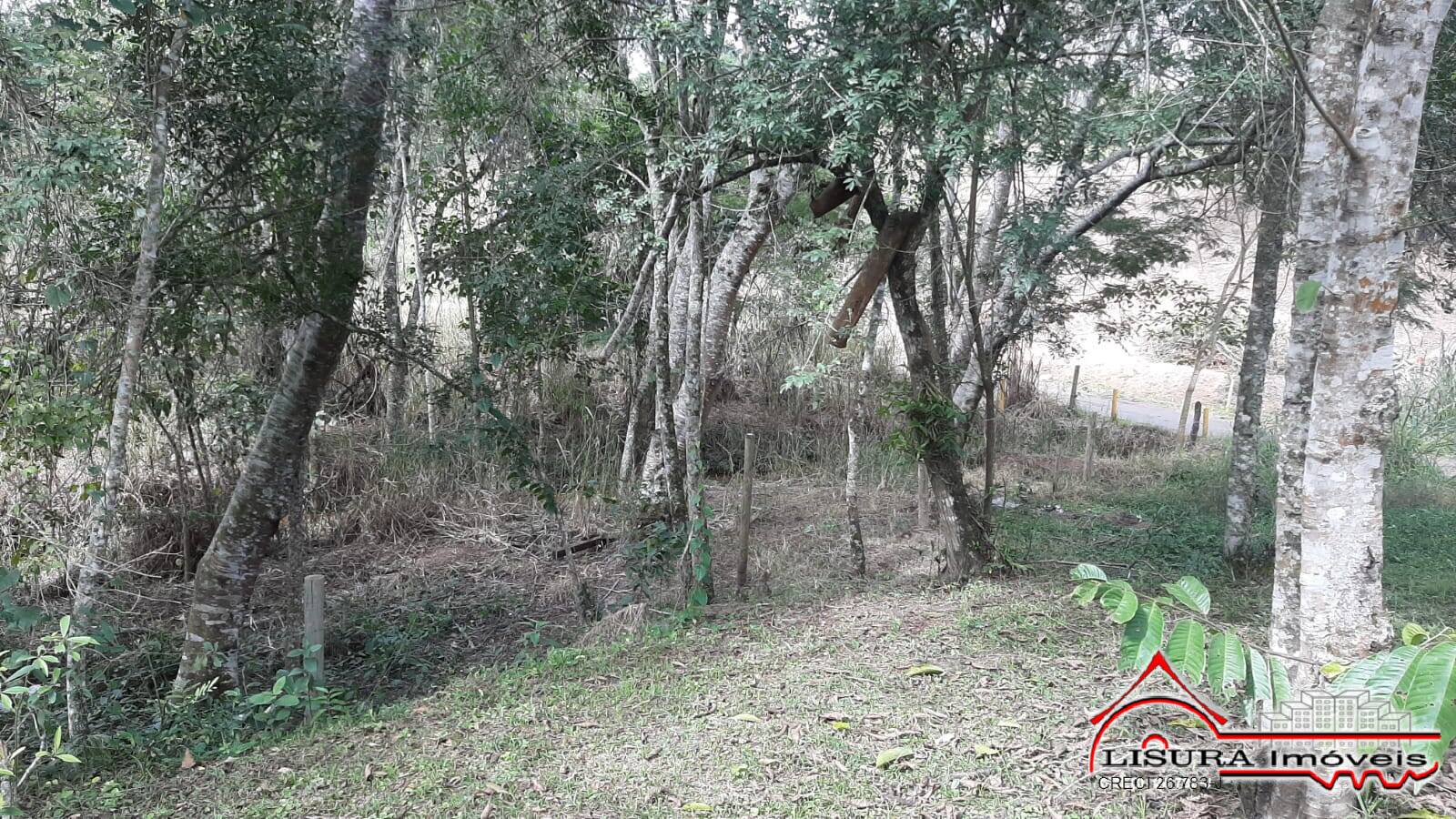 Terreno à venda com 1 quarto, 600m² - Foto 5