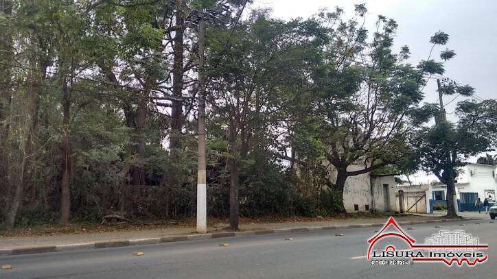 Terreno, 4300 m² - Foto 2