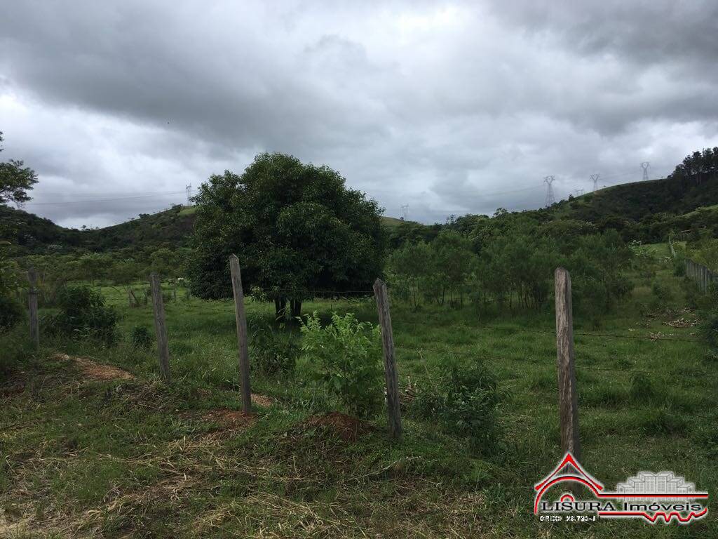 Terreno à venda, 9800m² - Foto 4