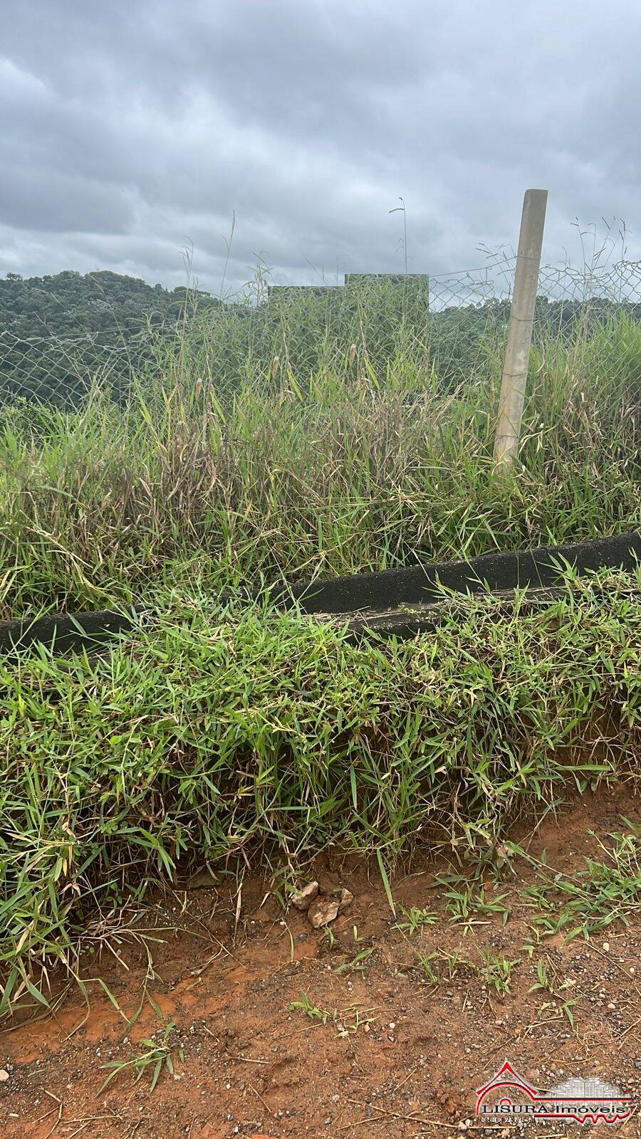 Terreno, 2000 m² - Foto 2