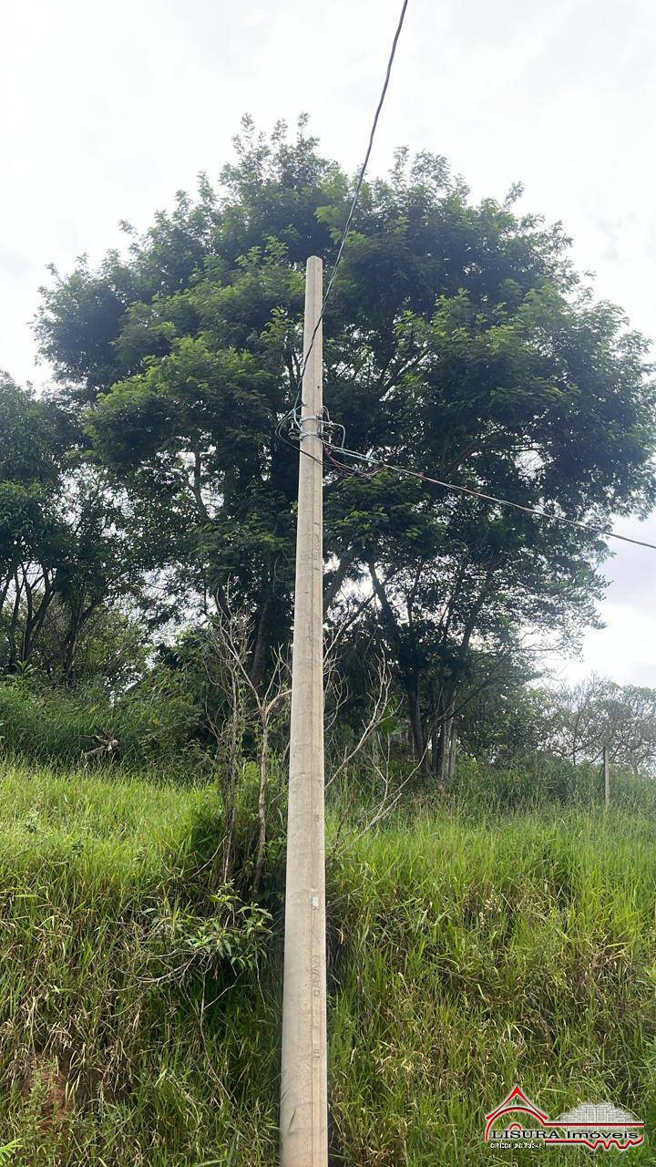 Terreno, 2000 m² - Foto 5