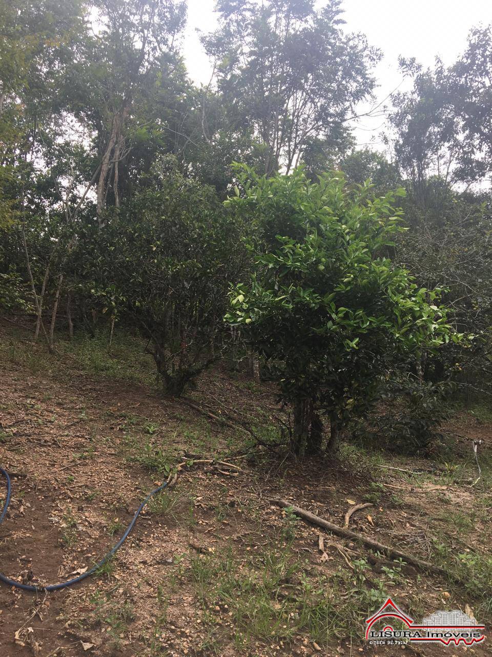 Chácara à venda com 2 quartos, 26300m² - Foto 3