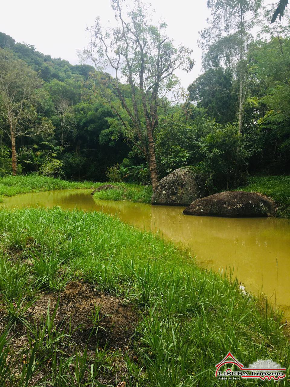 Chácara à venda com 2 quartos, 26300m² - Foto 6
